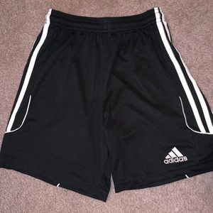 Sport Shorts